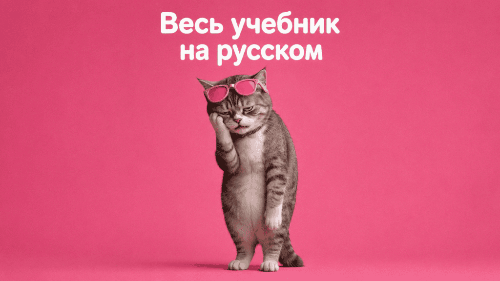 Интерфейс нейросети для перевода иностранных учебников с сохранением иллюстраций